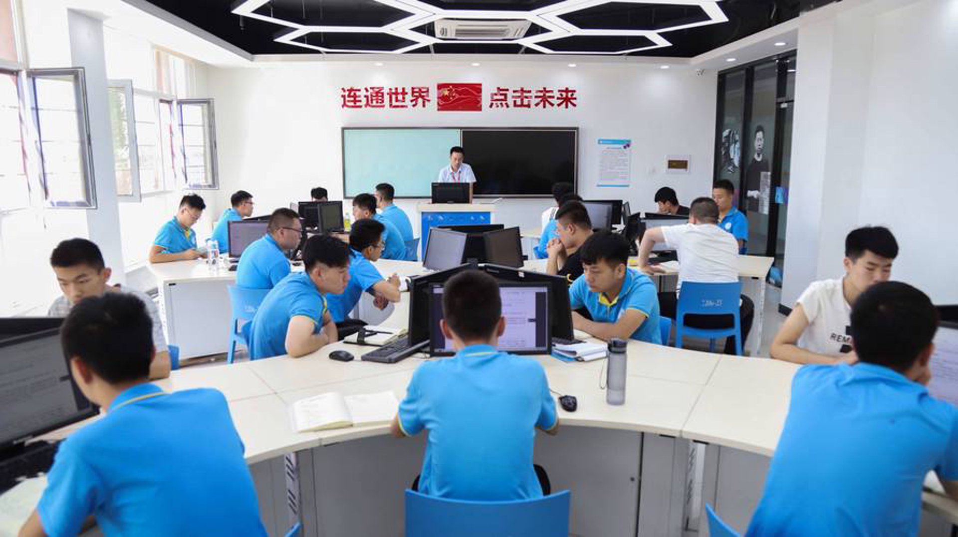 大树网络